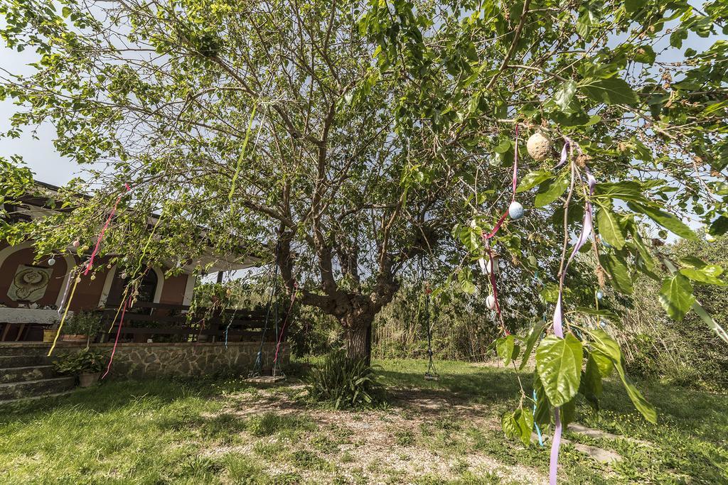 Country House Araba Phoenix Castellabate Exteriör bild